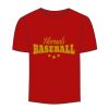 Adult Stars & Stripes T-Shirt Thumbnail