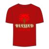 Adult Stars & Stripes T-Shirt Thumbnail