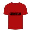 Adult Stars & Stripes T-Shirt Thumbnail