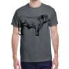 Heavy Cotton™ 5.3 oz. T-Shirt Thumbnail