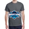 Heavy Cotton™ 5.3 oz. T-Shirt Thumbnail